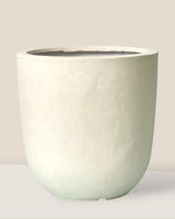 Zeni Planter XXL