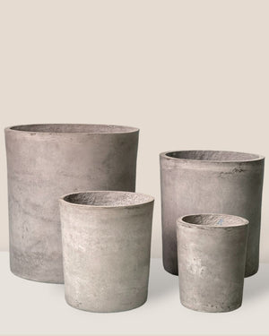 XXL Aurora Clay Pot - gray - Pot - Tumbleweed Plants - Online Plant Delivery Singapore