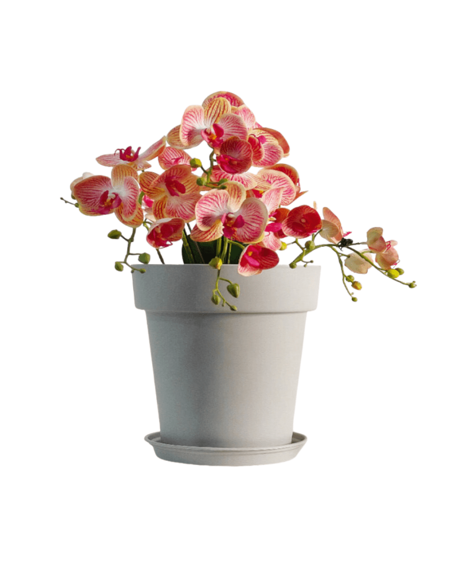 xxl plastic plant pots GAL Plastic Pots XXL