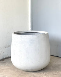 XXL Goblet Pot - grey - Pot - Tumbleweed Plants - Online Plant Delivery Singapore