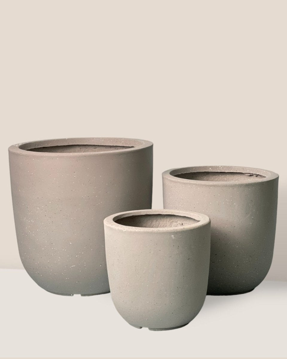 XXL Zeni Planter - off - white - Pot - Tumbleweed Plants - Online Plant Delivery Singapore