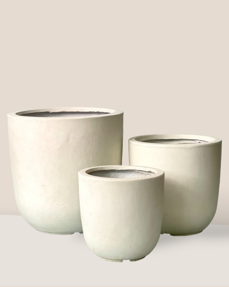 XXL Zeni Planter - off - white - Pot - Tumbleweed Plants - Online Plant Delivery Singapore