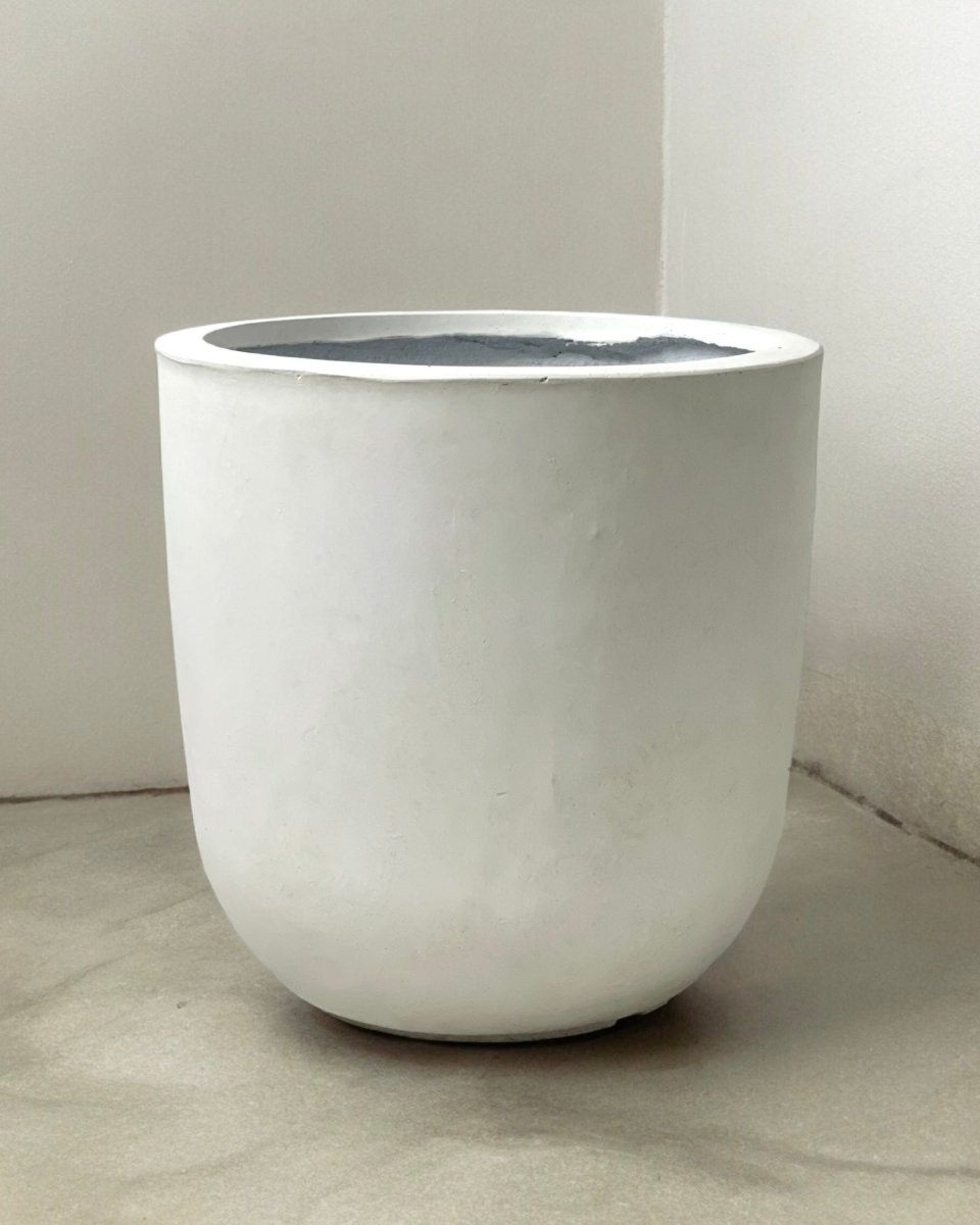 XXL Zeni Planter - White - Pot - Tumbleweed Plants - Online Plant Delivery Singapore