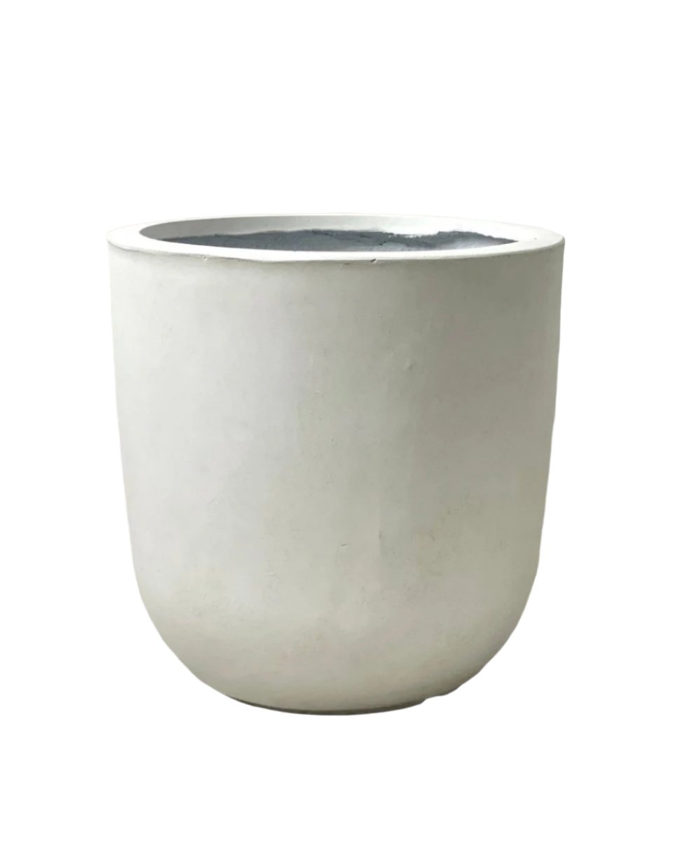 XXL Zeni Planter - White - Pots - Tumbleweed Plants - Online Plant Delivery Singapore