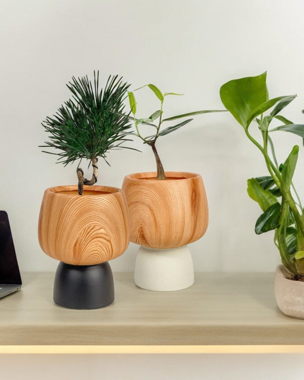 Zen Desk Duo paired with Terracotta Wooden Pots