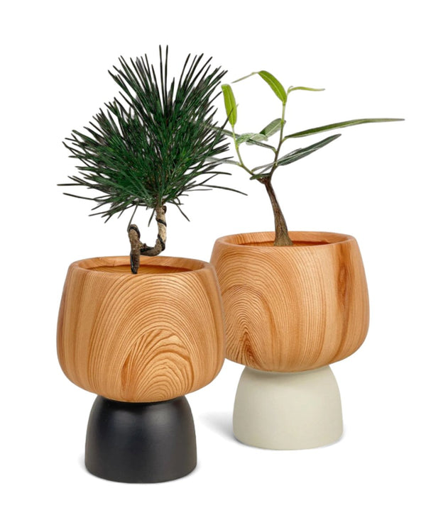 Zen Desk Duo paired with Terracotta Wooden Pots