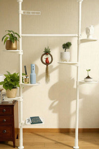 ZeneXpand Adjustable Plant Shelves - Plant Stand - 5690228627034 - Tumbleweed Plants - Online Plant Delivery Singapore
