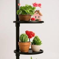 ZeneXpand Adjustable Plant Shelves - Plant Stand - 5684780697503 - Tumbleweed Plants - Online Plant Delivery Singapore