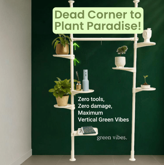 ZeneXpand Adjustable Plant Shelves - Plant Stand - 5684780697503 - Tumbleweed Plants - Online Plant Delivery Singapore