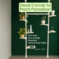 ZeneXpand Adjustable Plant Shelves - Plant Stand - 5684780697503 - Tumbleweed Plants - Online Plant Delivery Singapore