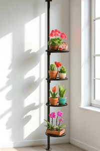 ZeneXpand Adjustable Plant Shelves - Plant Stand - 5684780697503 - Tumbleweed Plants - Online Plant Delivery Singapore