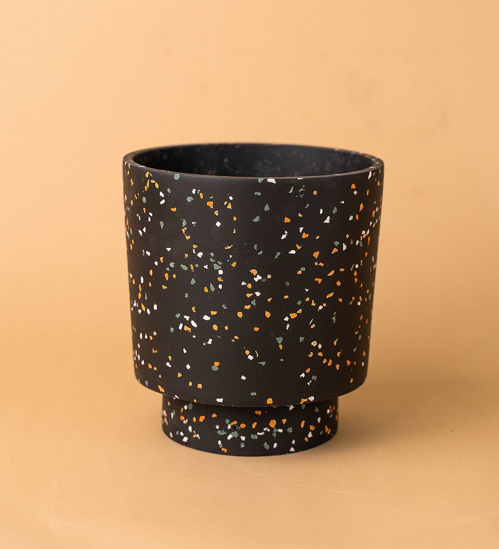 Banjo Pots by Capra Designs - black - Pot - Tumbleweed Plants - Online Plant Delivery Singapore