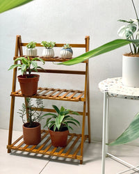 Foldable Plant Rack - with hanging bar - Home Decor - Tumbleweed Plants - Online Plant Delivery Singapore