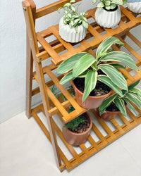 Foldable Plant Rack - with hanging bar - Home Decor - Tumbleweed Plants - Online Plant Delivery Singapore