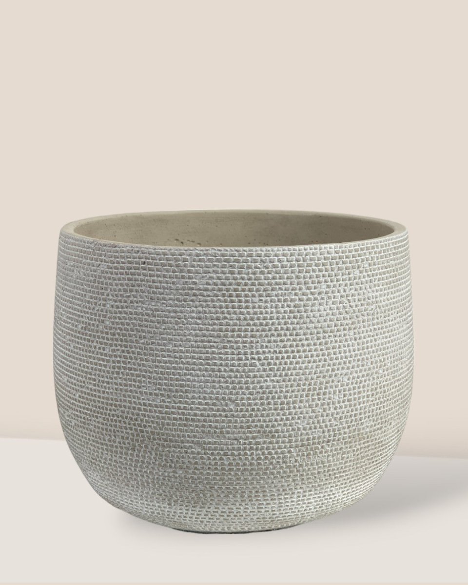 Bauble Planter - Pearl White - Pot - Tumbleweed Plants - Online Plant Delivery Singapore