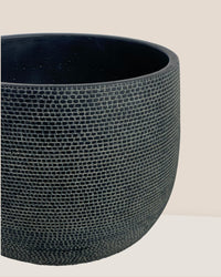 Bauble Planter - Quartz Black - Pot - Tumbleweed Plants - Online Plant Delivery Singapore