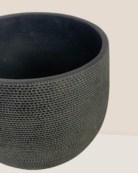 Bauble Planter - Quartz Black - Pot - Tumbleweed Plants - Online Plant Delivery Singapore