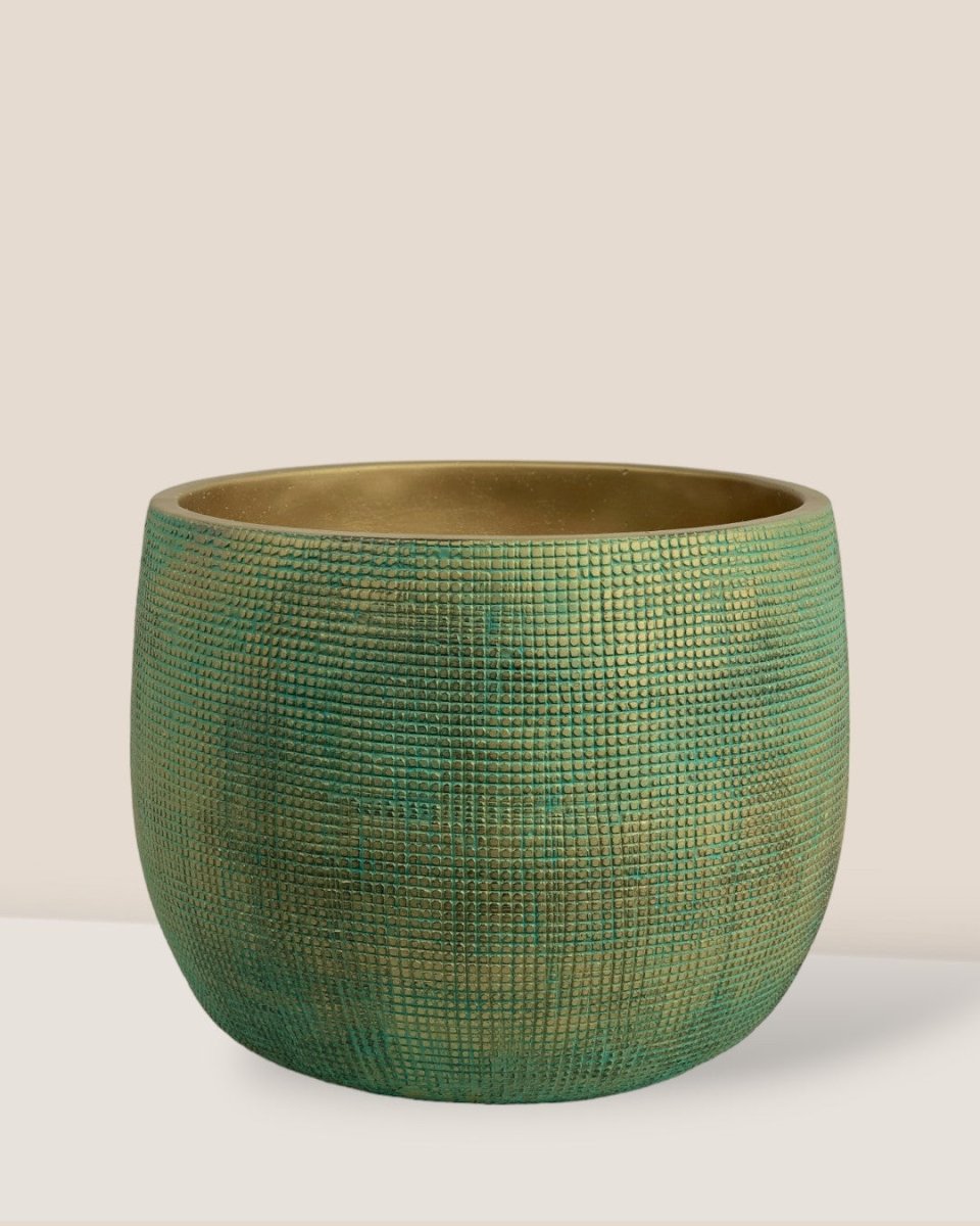 Bauble Planter - Jade Green - Pot - Tumbleweed Plants - Online Plant Delivery Singapore