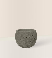Cement Planter - Round - Pot - Tumbleweed Plants - Online Plant Delivery Singapore