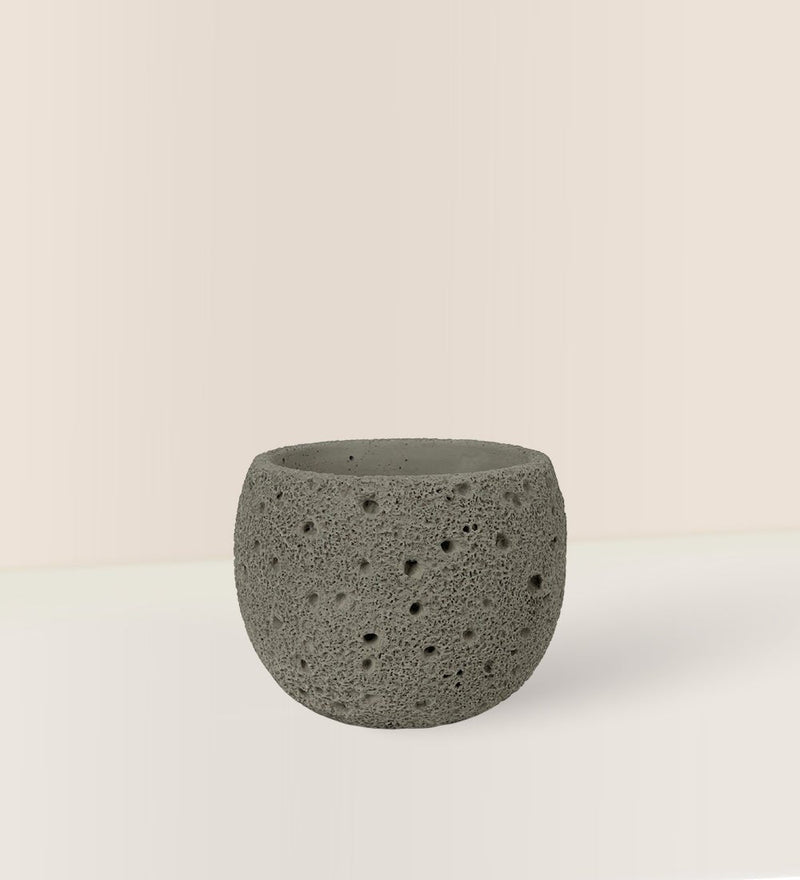 Cement Planter - Round - Pot - Tumbleweed Plants - Online Plant Delivery Singapore