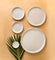 Ceramic Trays