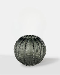 Charcoal Chic Vase - Small - Pot - Tumbleweed Plants - Online Plant Delivery Singapore