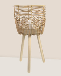 Coachella Basket with Stand - Large - Stand - Tumbleweed Plants - Online Plant Delivery Singapore