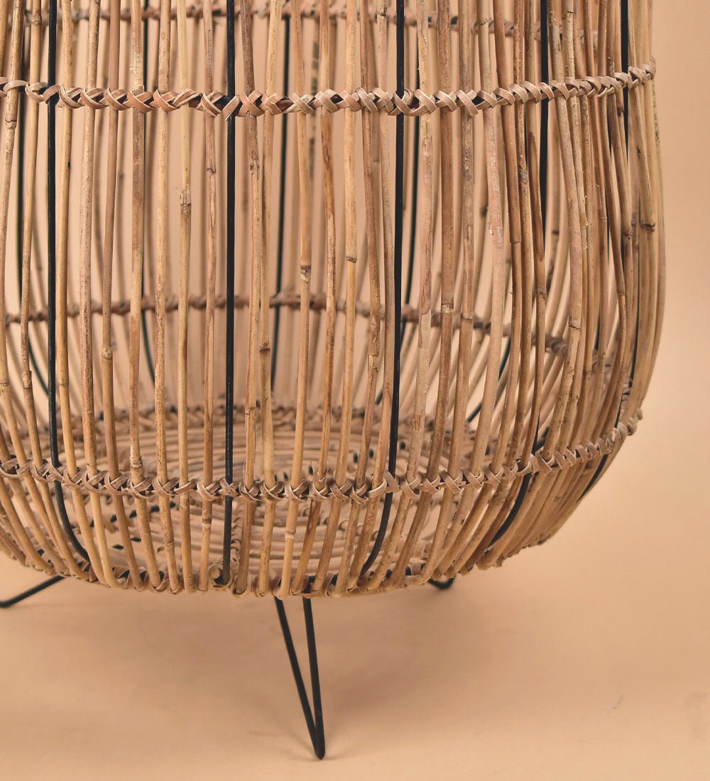 Coachella Stand - Stand - Tumbleweed Plants - Online Plant Delivery Singapore