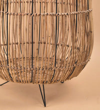 Coachella Stand - Stand - Tumbleweed Plants - Online Plant Delivery Singapore