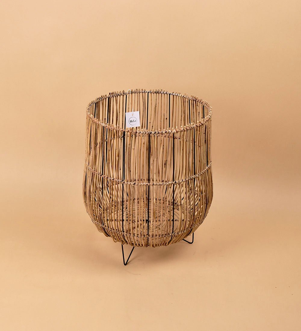 Coachella Stand - Stand - Tumbleweed Plants - Online Plant Delivery Singapore