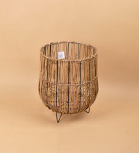 Coachella Stand - Stand - Tumbleweed Plants - Online Plant Delivery Singapore