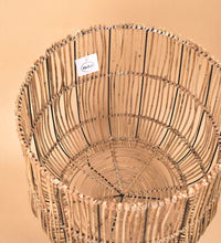 Coachella Stand - Stand - Tumbleweed Plants - Online Plant Delivery Singapore