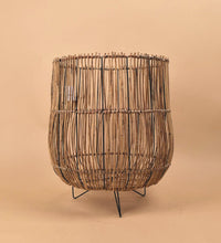 Coachella Stand - Stand - Tumbleweed Plants - Online Plant Delivery Singapore