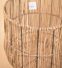 Coachella Stand - Stand - Tumbleweed Plants - Online Plant Delivery Singapore