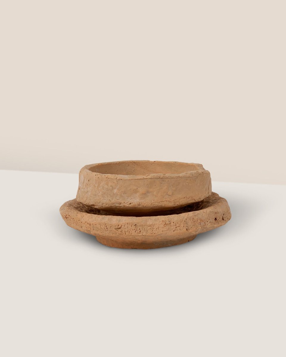 Coral Stone Ceramic Planter - short - Pots - Tumbleweed Plants - Online Plant Delivery Singapore