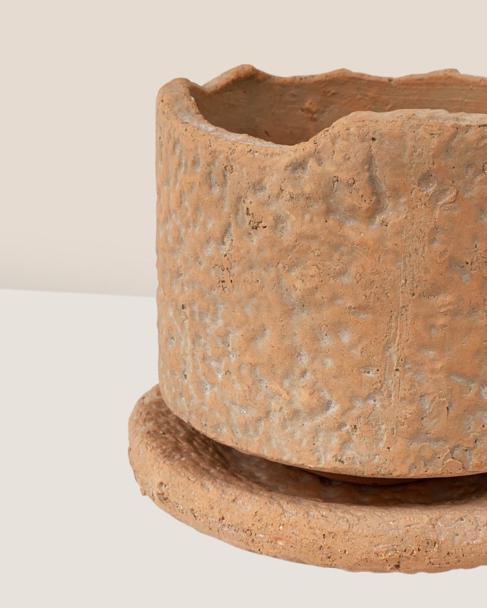 Coral Stone Ceramic Planter - short - Pots - Tumbleweed Plants - Online Plant Delivery Singapore