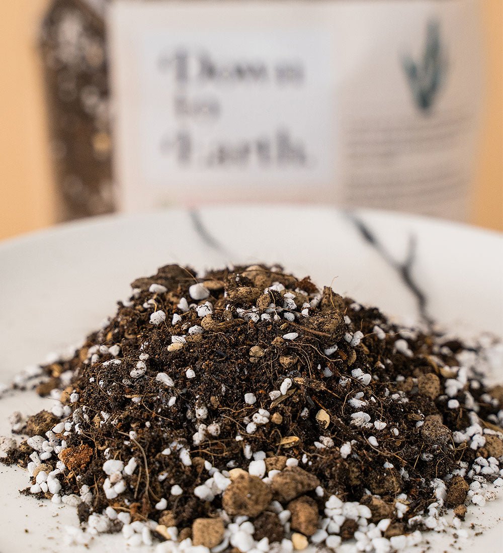 Down To Earth. Organic Cacti and Succulent Potting Mix 02 - Potting mix - Tumbleweed Plants - Online Plant Delivery Singapore