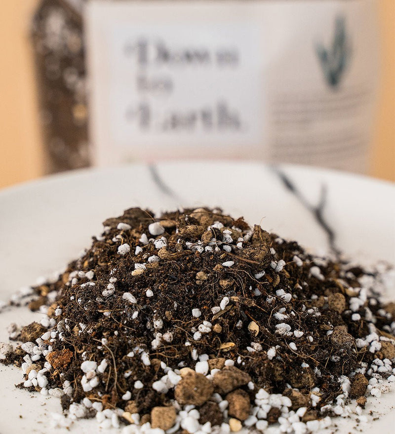 Down To Earth. Organic Cacti and Succulent Potting Mix 02 - Potting mix - Tumbleweed Plants - Online Plant Delivery Singapore