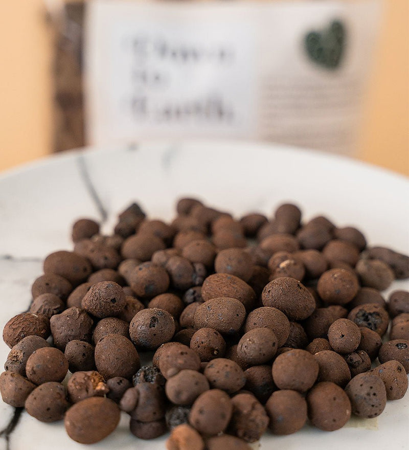 Down To Earth. Leca Balls 05 - Leca balls - Tumbleweed Plants - Online Plant Delivery Singapore