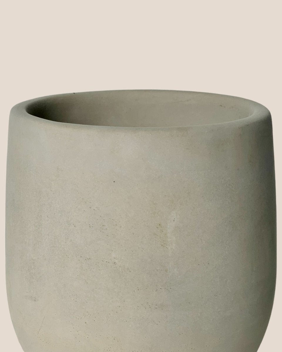 Medium Dusty Grey Cement Planter with Tray - 17.5cm - Pot - Tumbleweed Plants - Online Plant Delivery Singapore