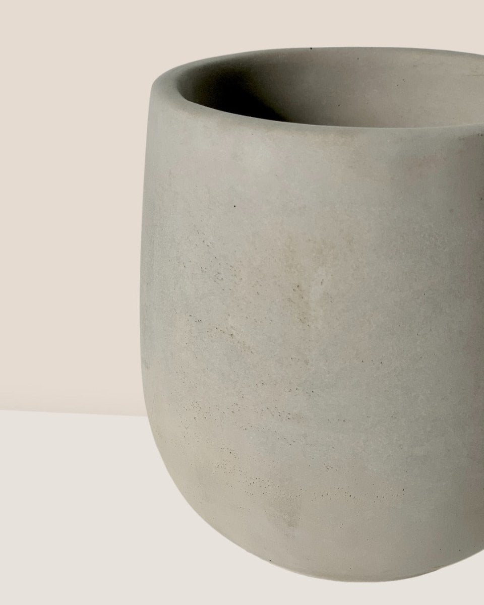 Medium Dusty Grey Cement Planter with Tray - 17.5cm - Pot - Tumbleweed Plants - Online Plant Delivery Singapore