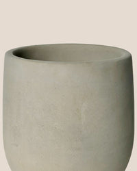 Small Dusty Grey Cement Planter with Tray - 11.5cm - Pot - Tumbleweed Plants - Online Plant Delivery Singapore