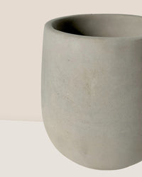 Small Dusty Grey Cement Planter with Tray - 11.5cm - Pot - Tumbleweed Plants - Online Plant Delivery Singapore