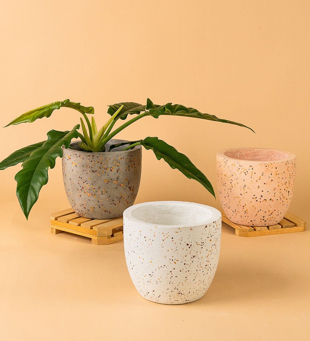 singapore plant pots Medium Egg Pot Planters - Fast SG Delivery