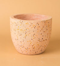 Egg Pots - pink - Pot - Tumbleweed Plants - Online Plant Delivery Singapore