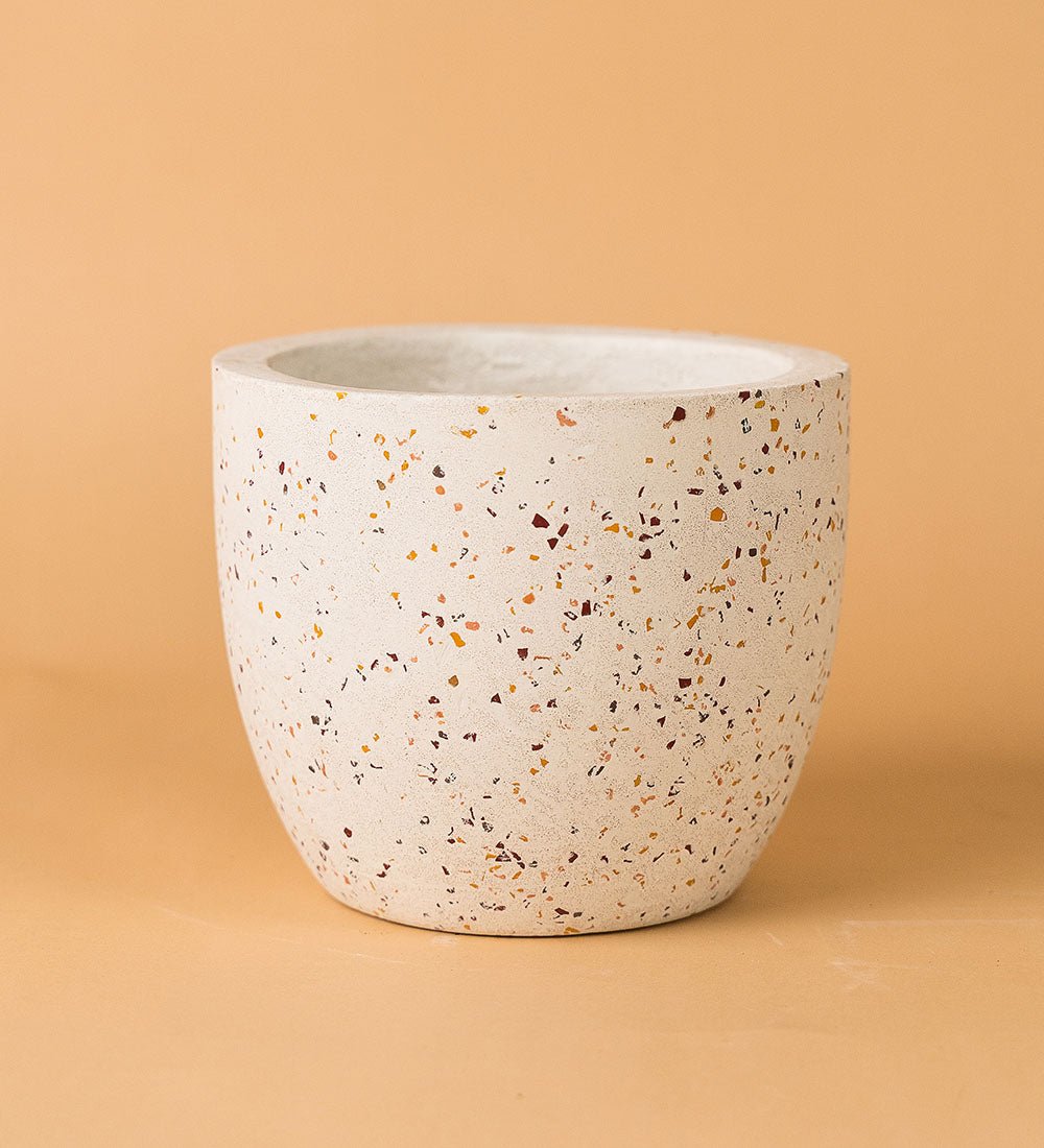Egg Pots - white - Pot - Tumbleweed Plants - Online Plant Delivery Singapore
