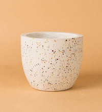 Egg Pots - white - Pot - Tumbleweed Plants - Online Plant Delivery Singapore