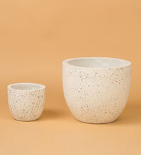 Egg Pots - white - Pot - Tumbleweed Plants - Online Plant Delivery Singapore