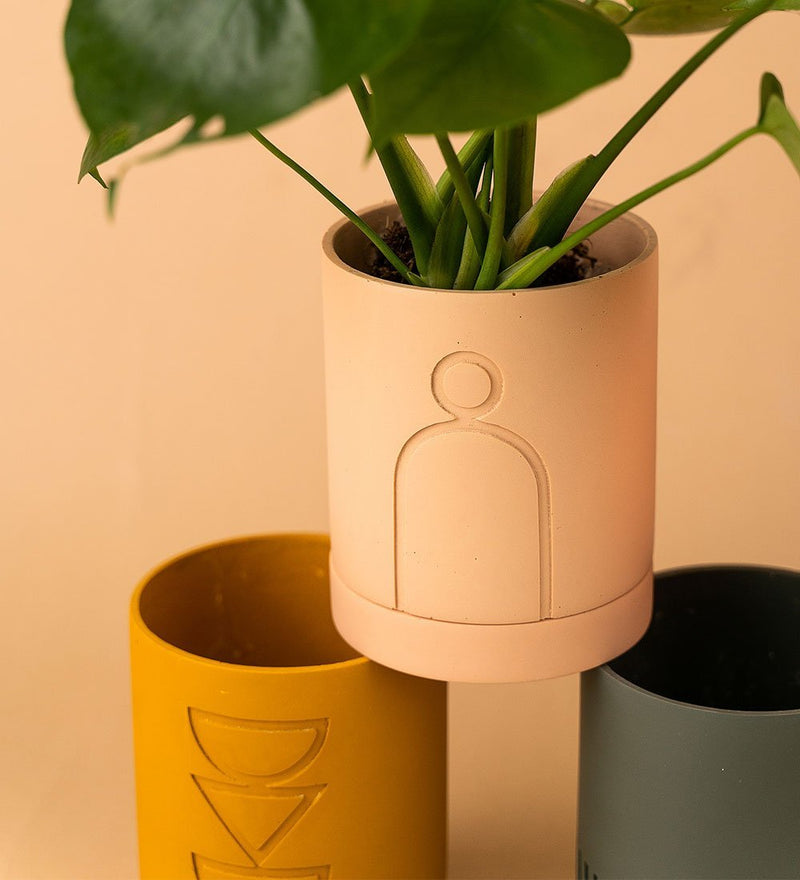 Etch Pots by Capra Designs - midnight black - Pot - Tumbleweed Plants - Online Plant Delivery Singapore