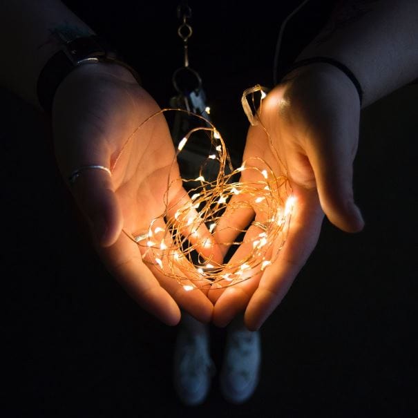 Fairy Lights - Warm - Add Ons - Tumbleweed Plants - Online Plant Delivery Singapore